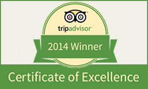 Great Customer Feedback Reviews